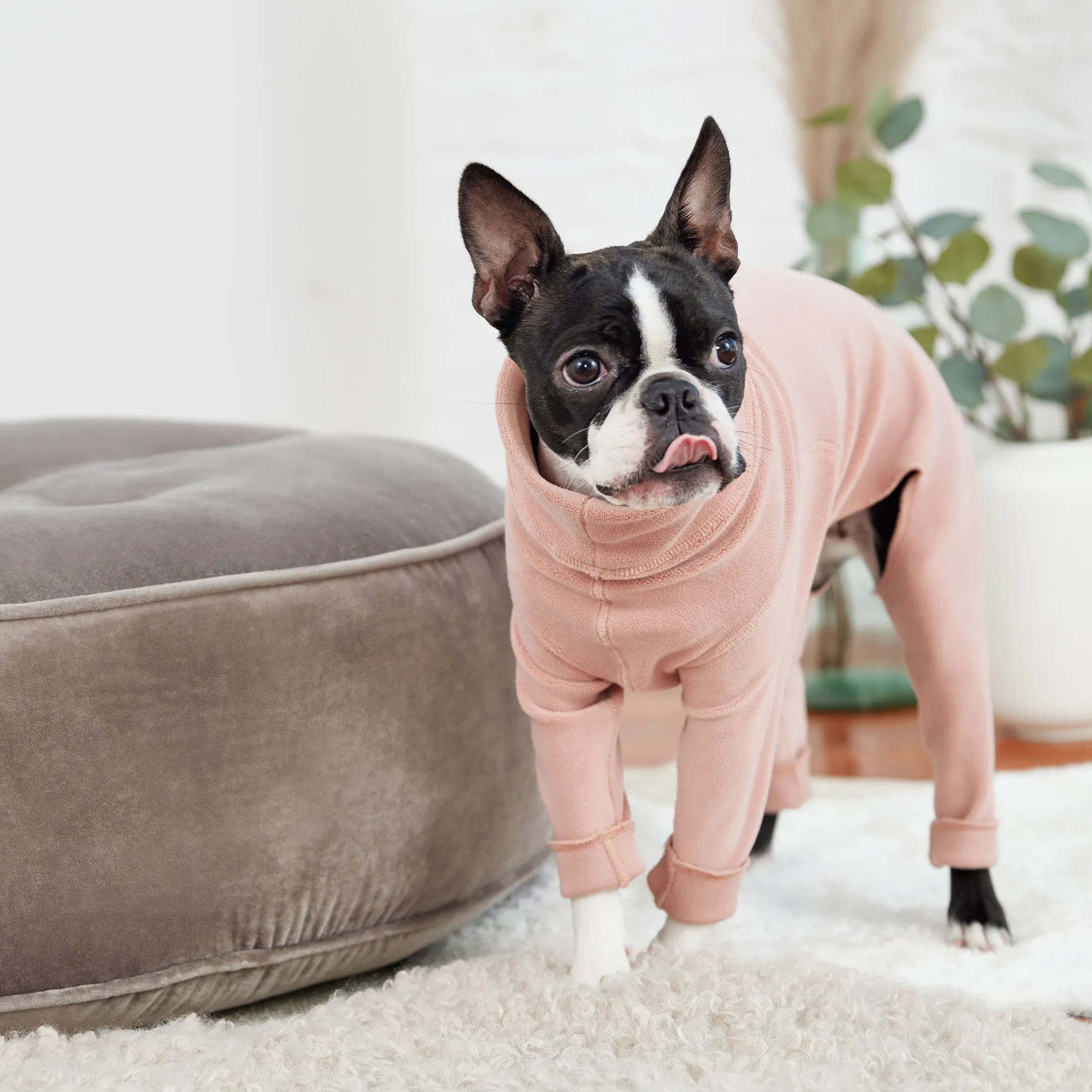 Gondola Dog Onesie | Pink