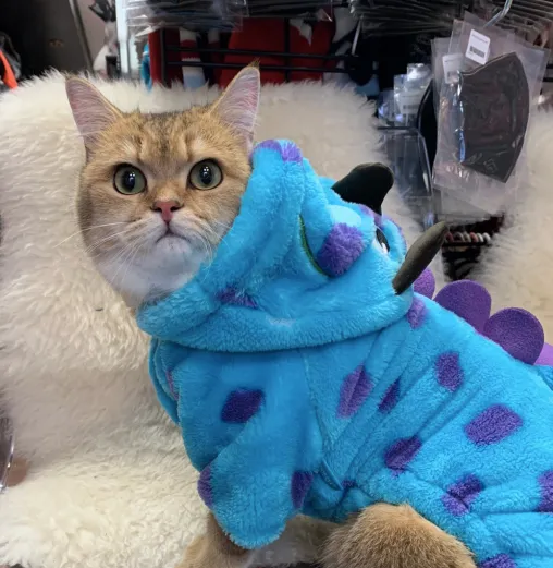 Spotted Monster Fleece Onesie